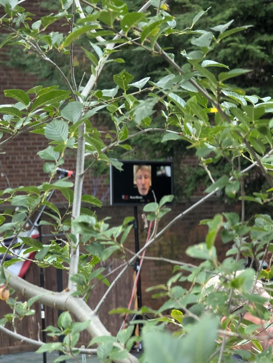 The Four Corners photo 5