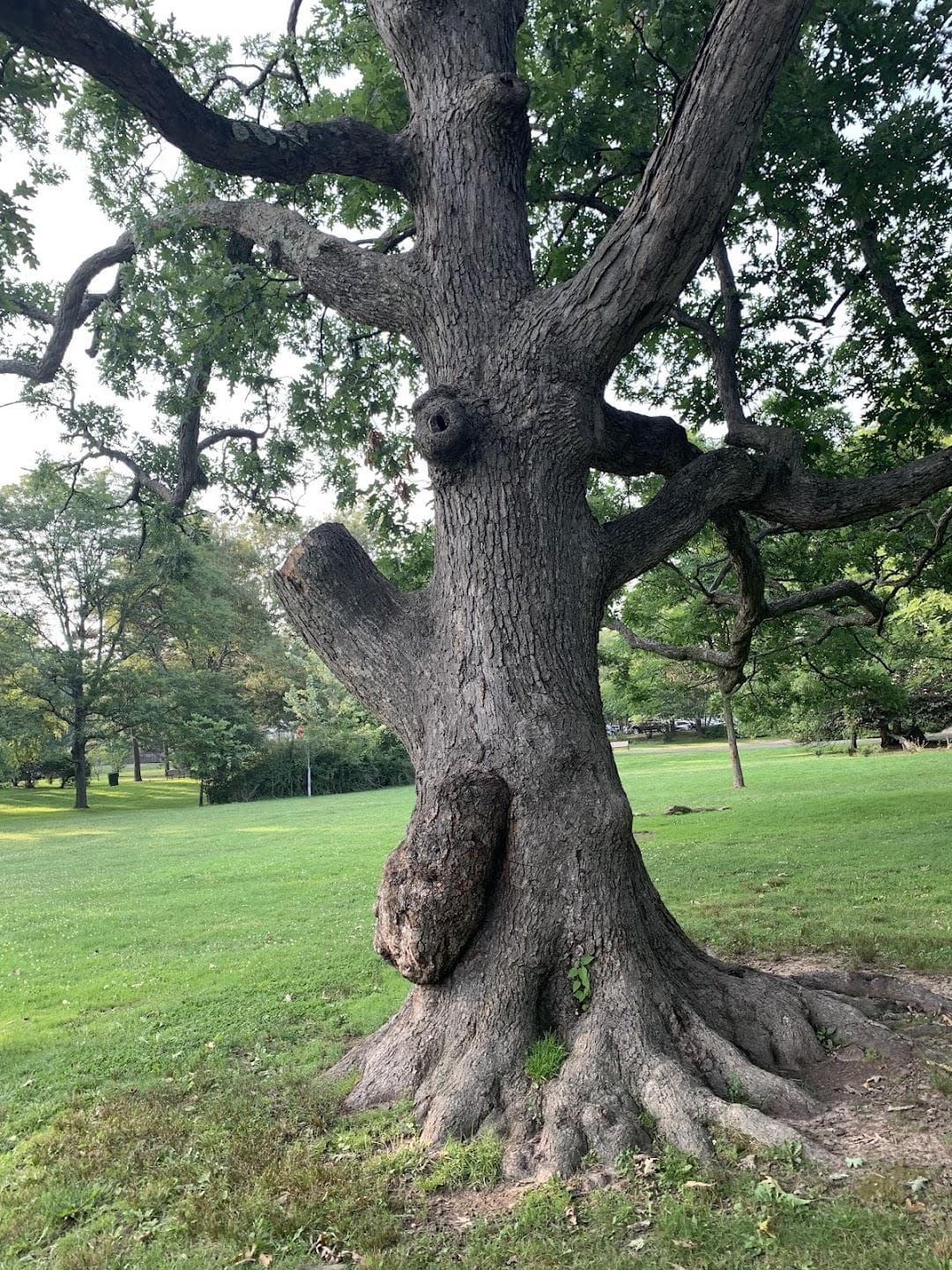 Anderson Park photo 2