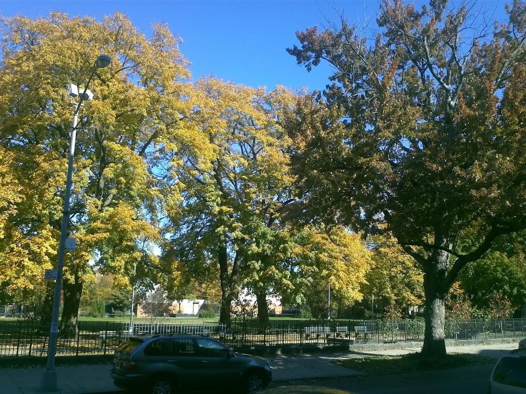 Herbert Von King Cultural Arts Center photo 1