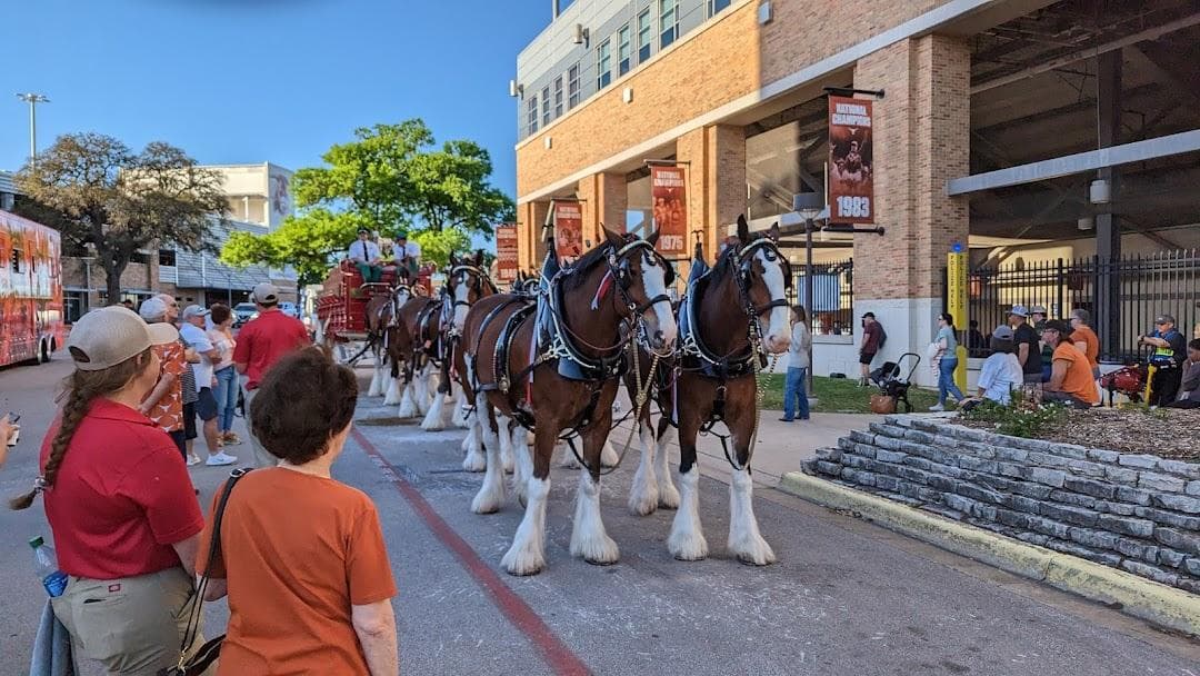 UFCU Disch-Falk Field photo 6