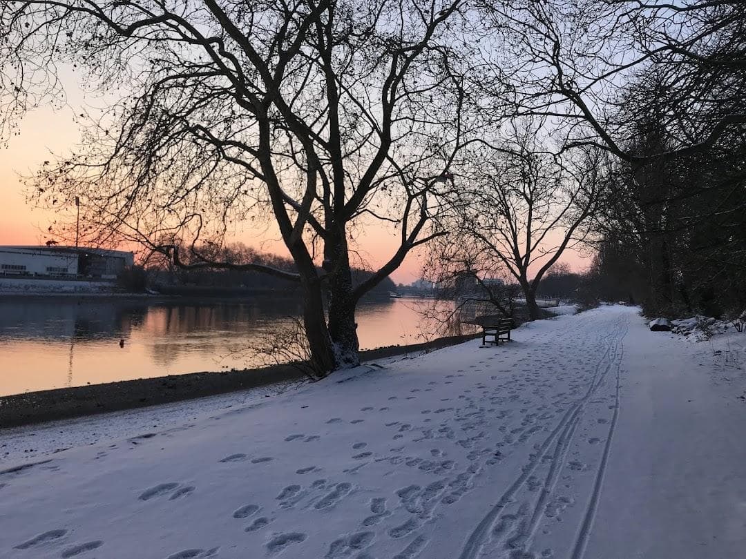Putney Embankment photo 2