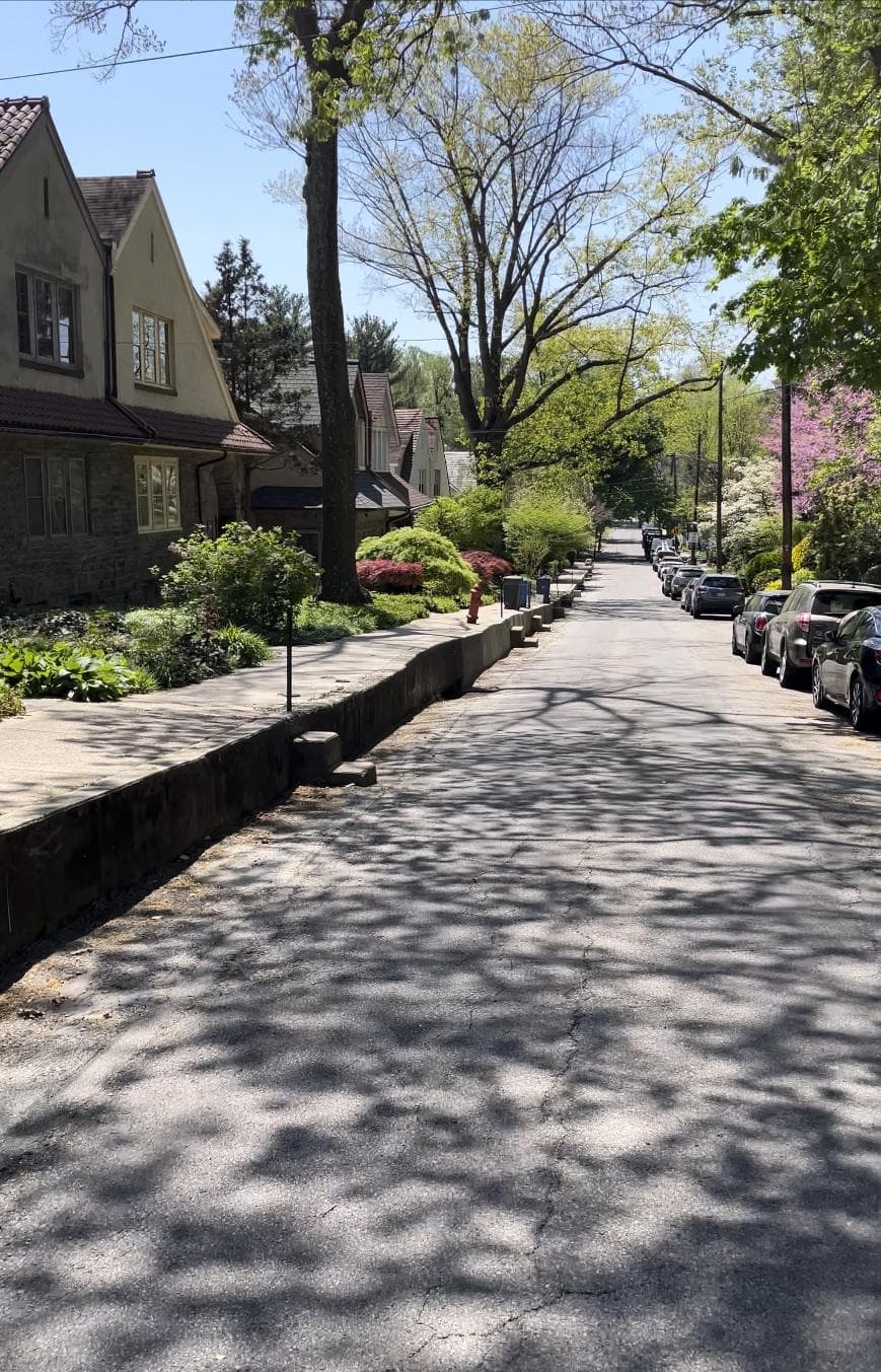 Chestnut Hill photo 4