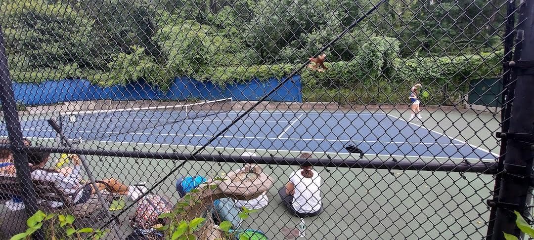 Riverside Park Tennis Courts photo 2
