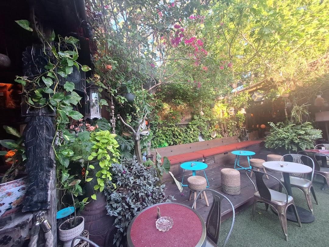 BOHO House Miami photo 6