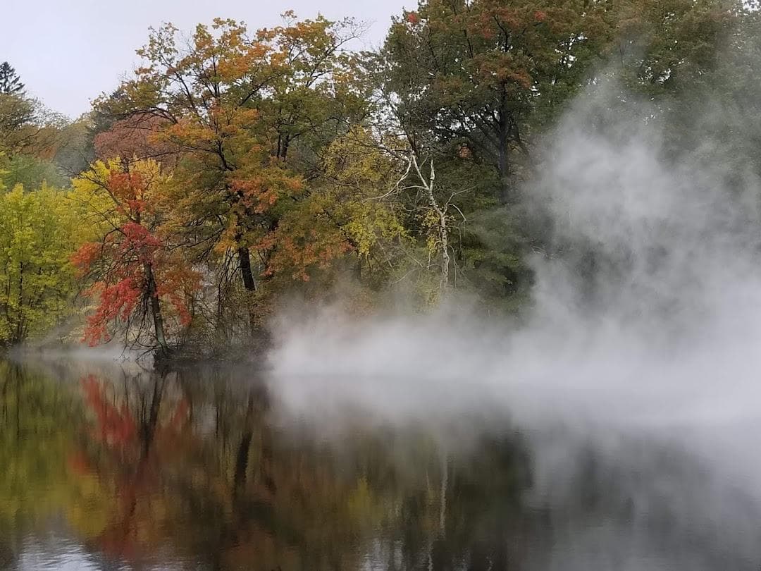 Olmsted Park photo 5