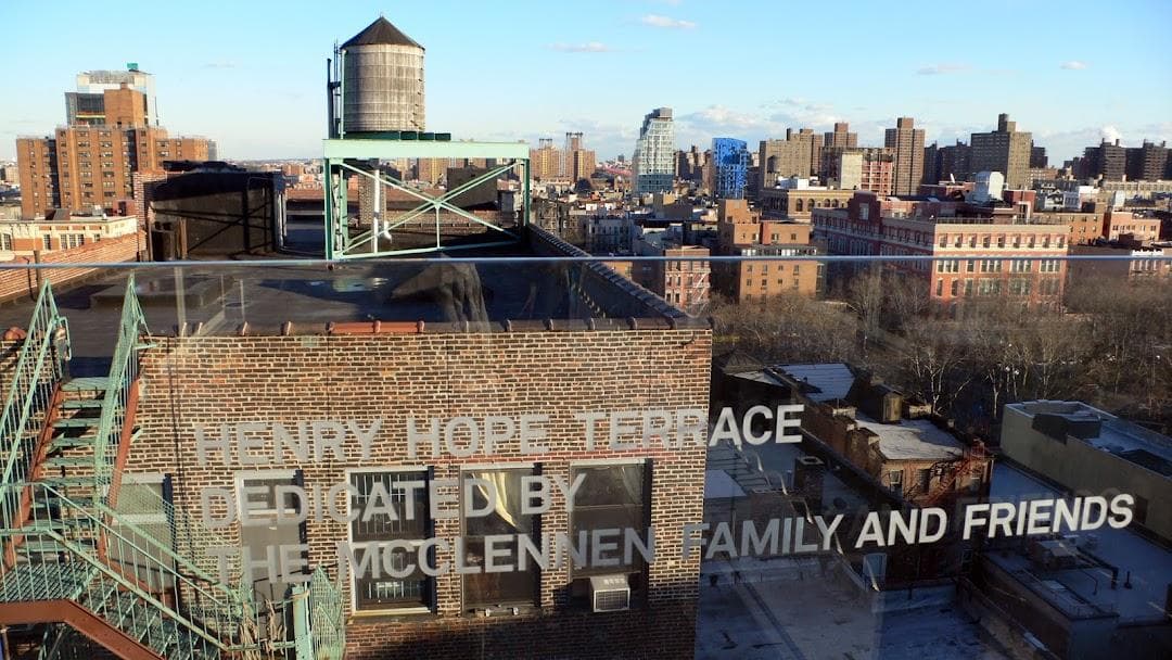 New Museum photo 5