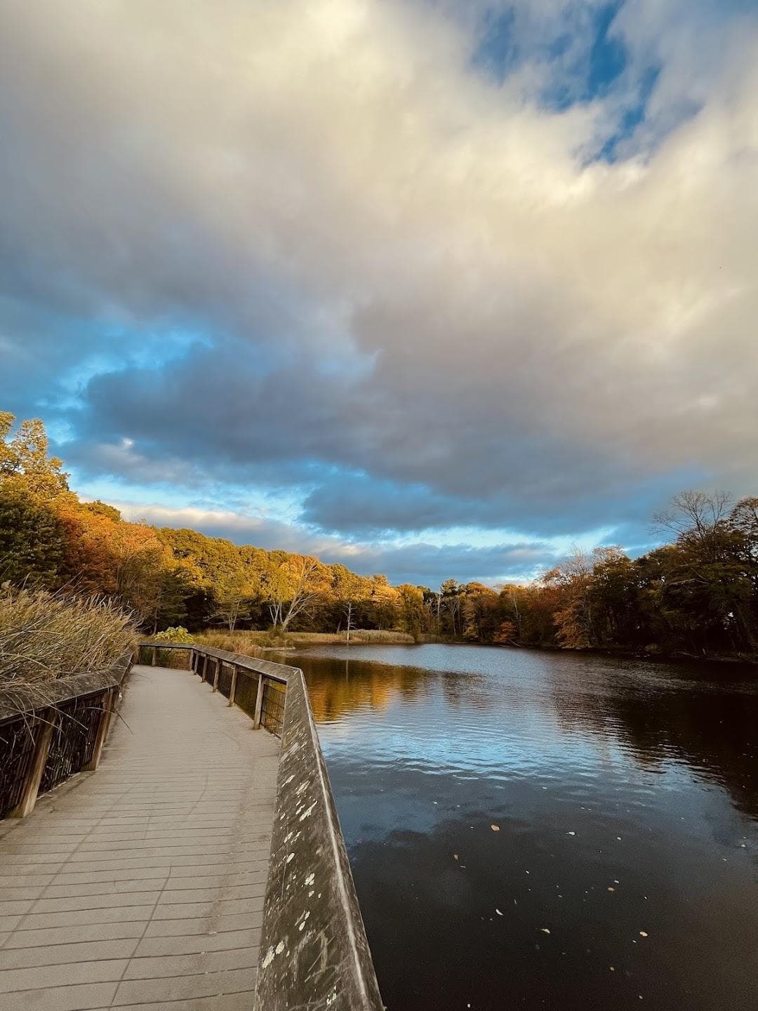 Edgewood Park photo 2