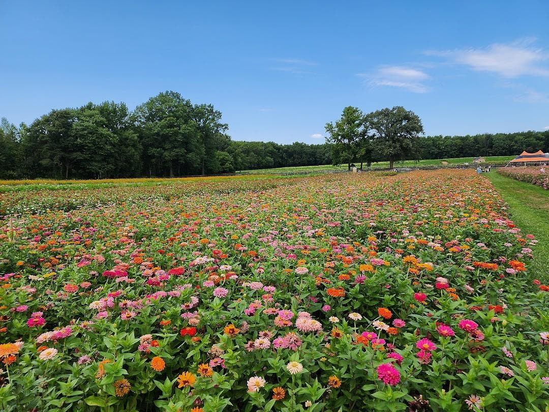Arrowhead Farmstead photo 5