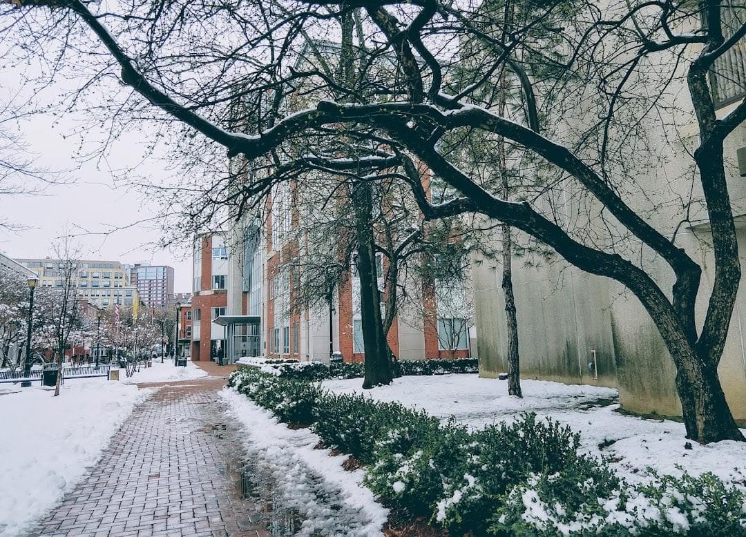 Rutgers University - Newark Campus photo 2