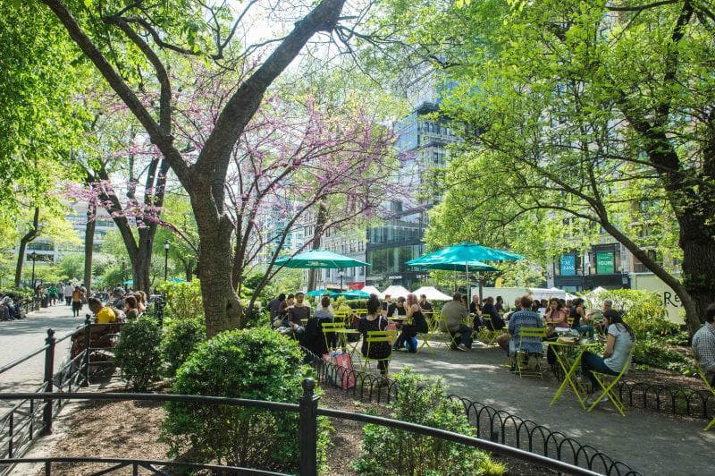 Union Square Park photo 1