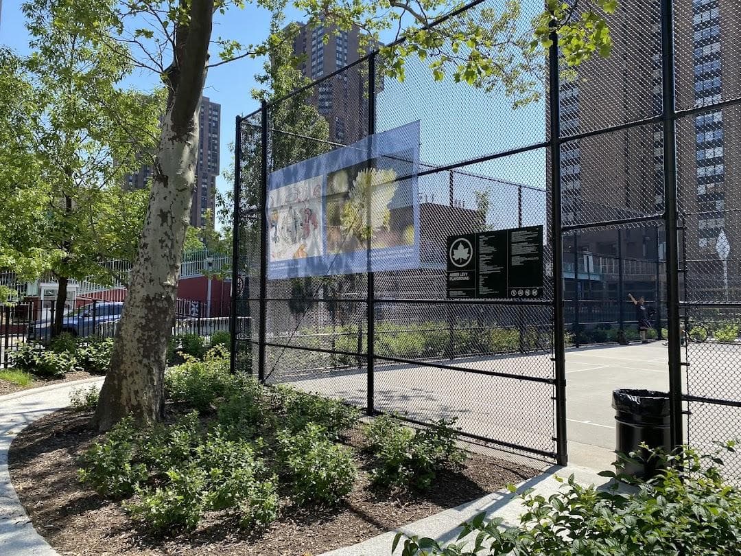 Asser Levy Playground photo 3