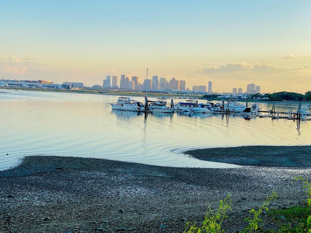 East Boston photo 1