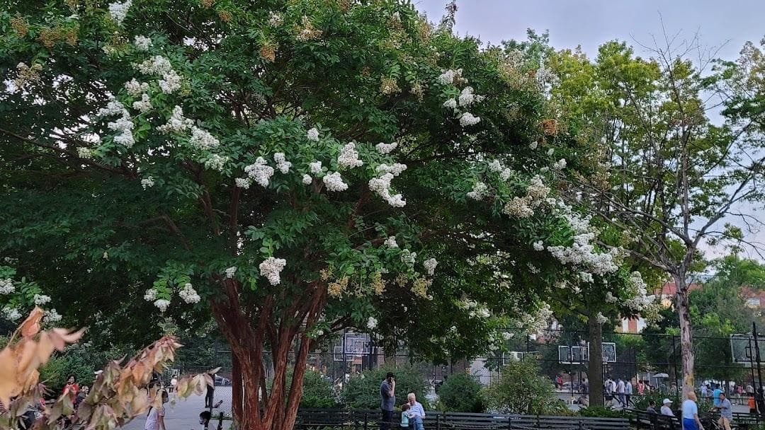 Seth Low Playground photo 1