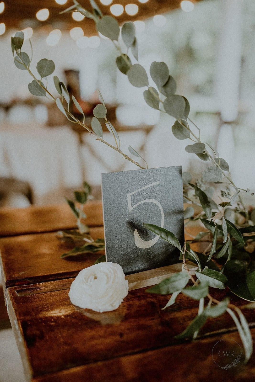 Pat's 30 Acres photo 1