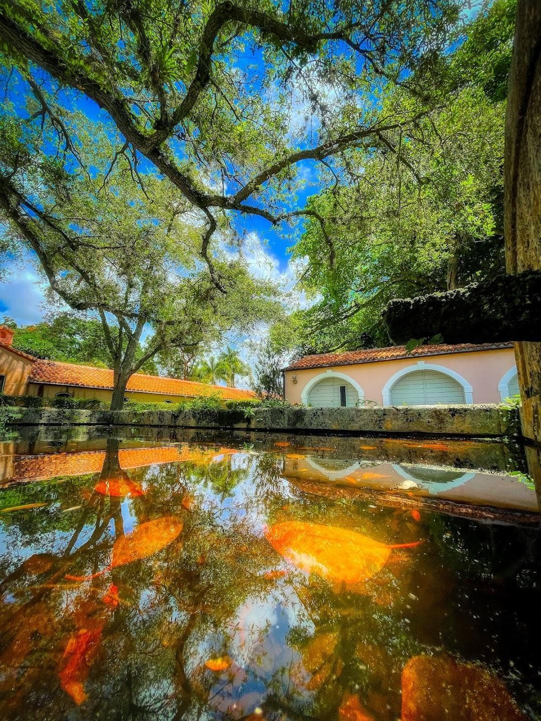 Vizcaya Village Farmers Market photo 3