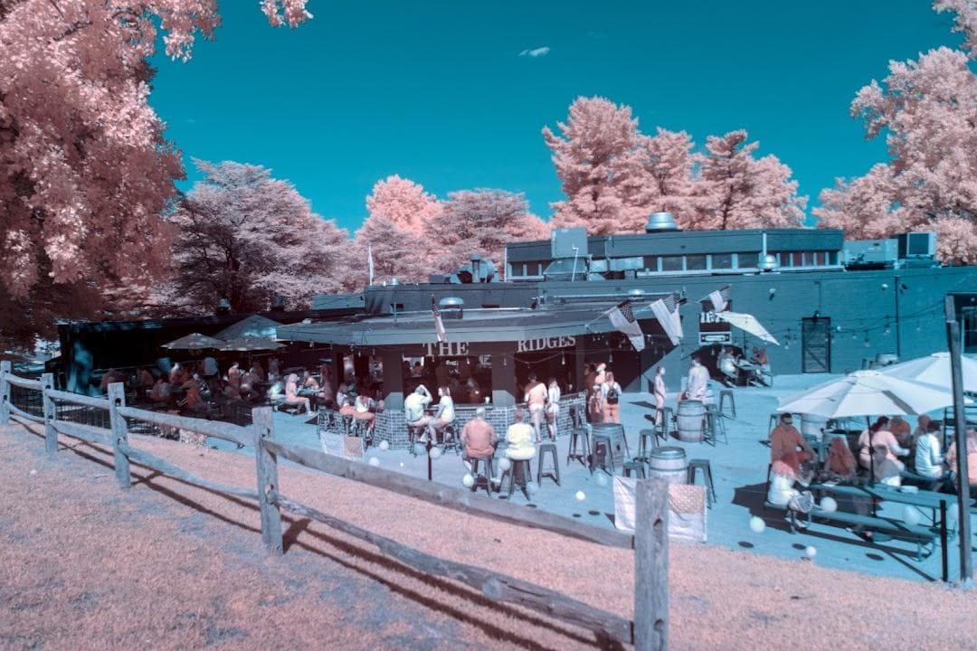 1675 At The Ridges photo 1