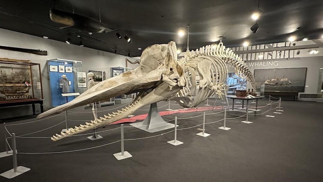 New Bedford Whaling Museum photo 1