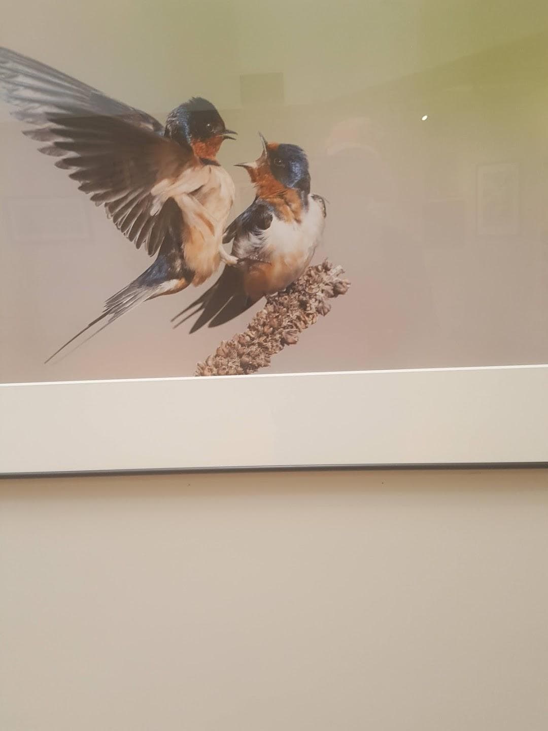 South Shore Art Center photo 2