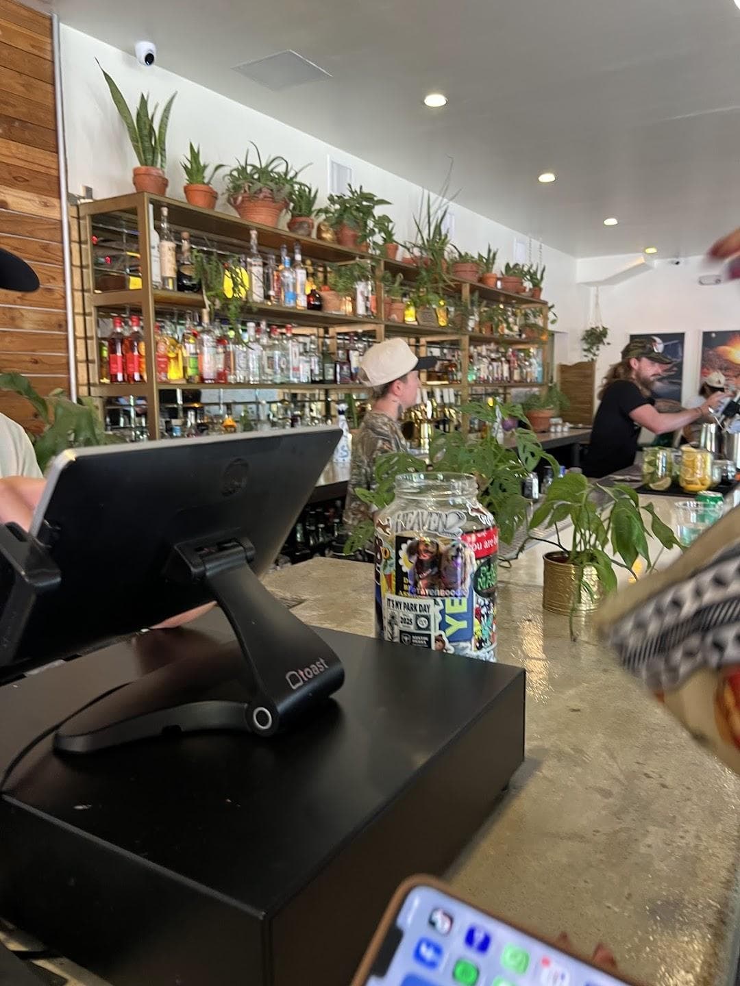 Cosmic Pickle photo 6