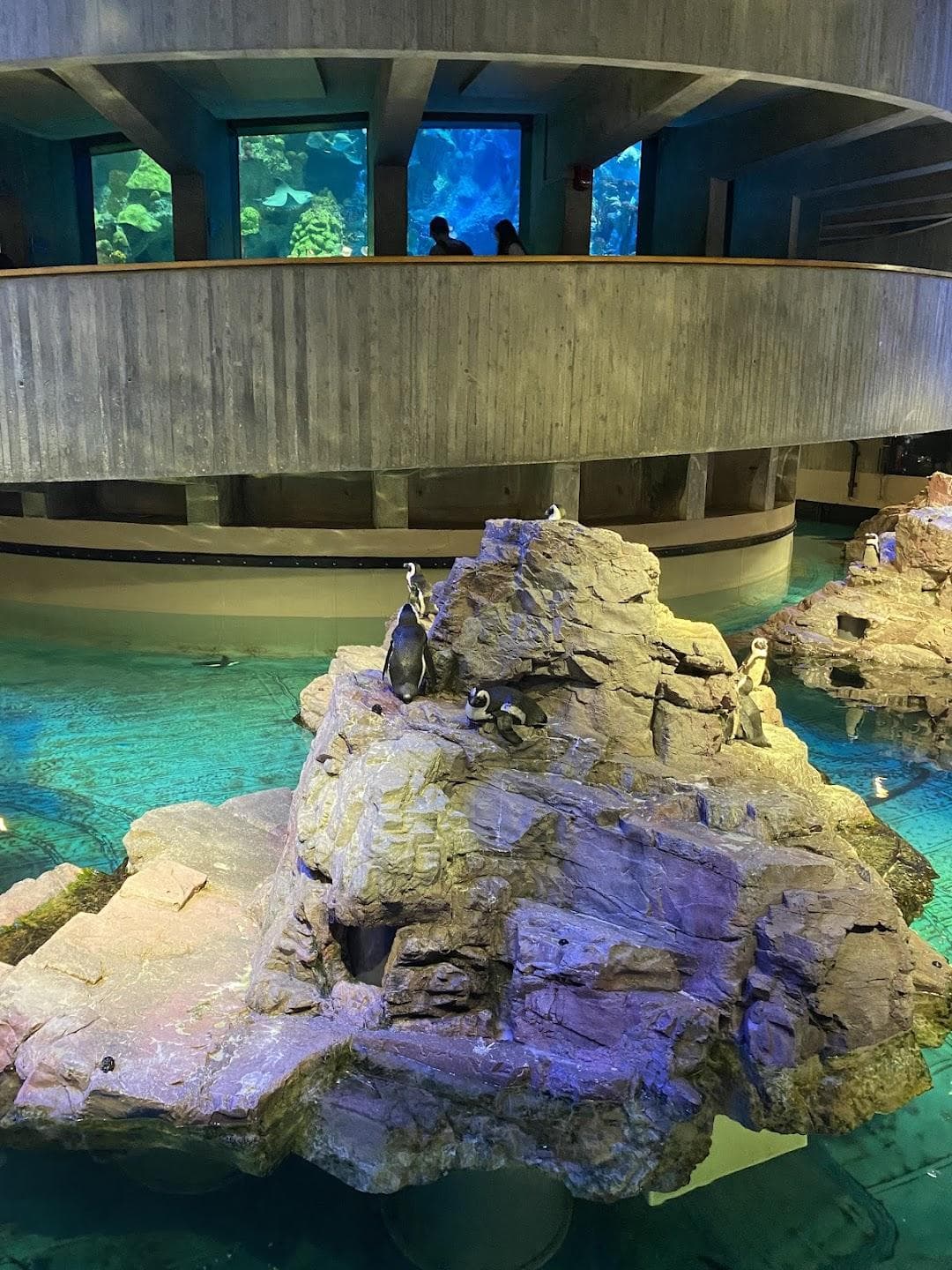 New England Aquarium photo 5