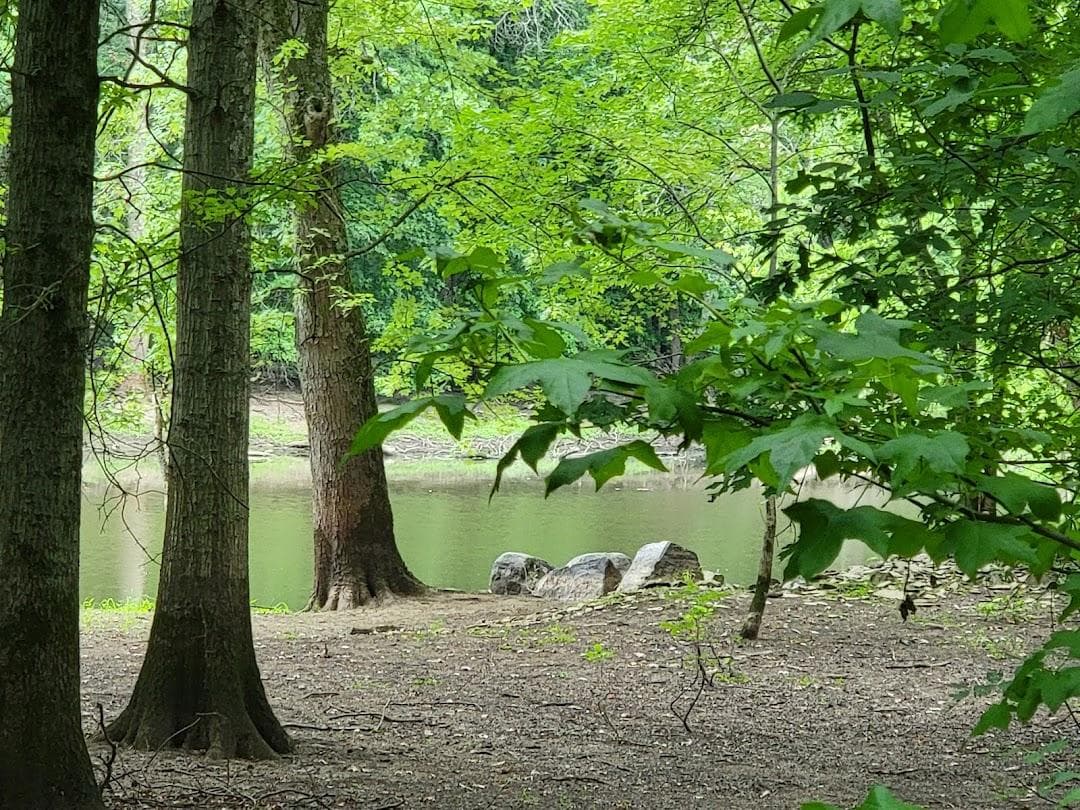 Essex County Environmental Center photo 3
