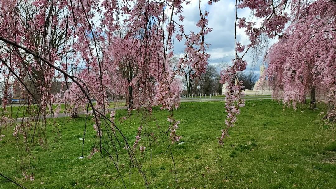 Fairmount Park photo 4