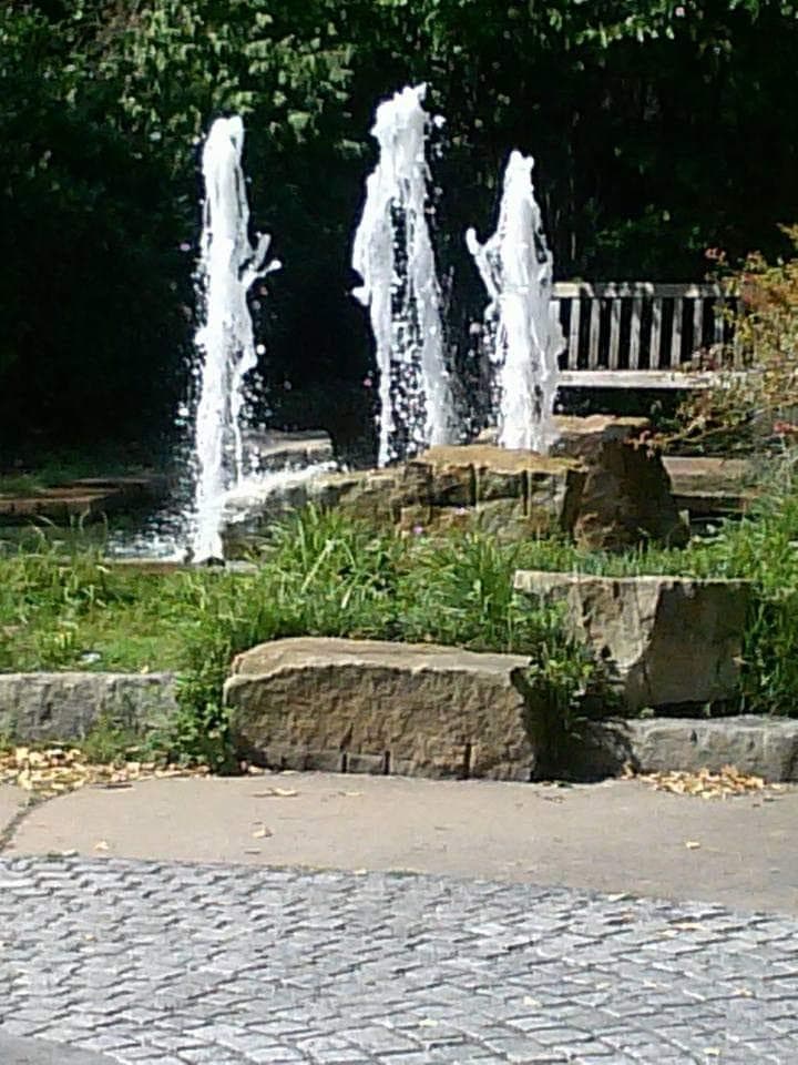 Spiotta Park photo 5