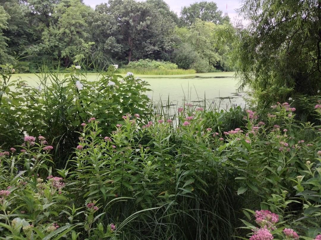 King Jagiello Monument photo 4