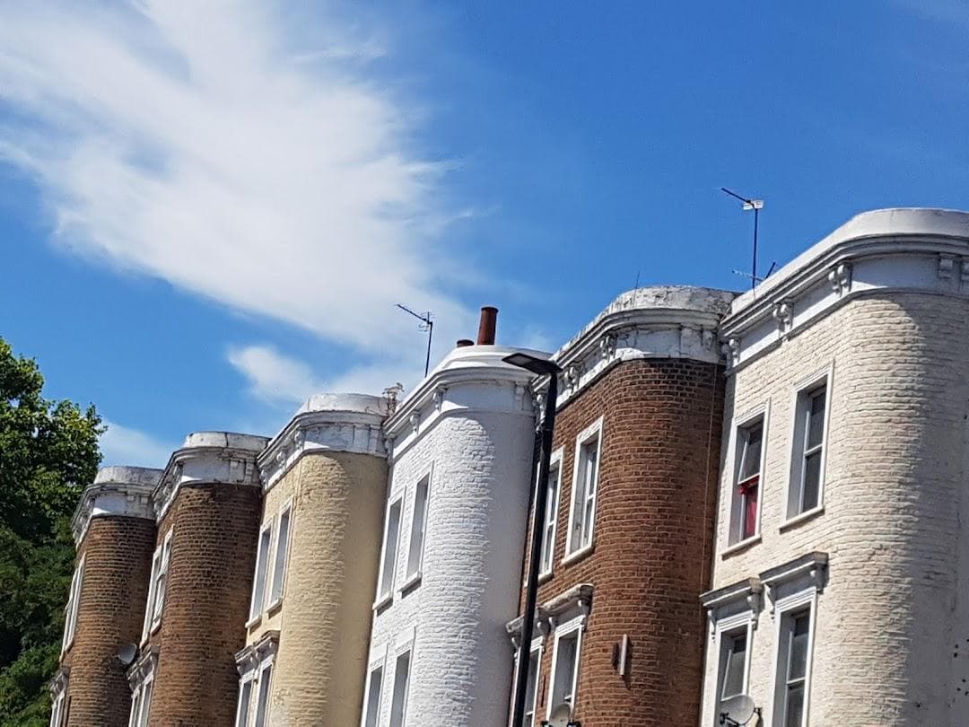 Lavender Hill photo 2