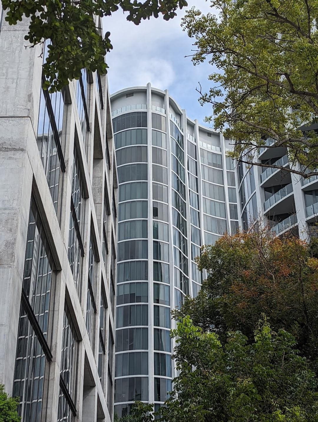 Coconut Grove photo 6