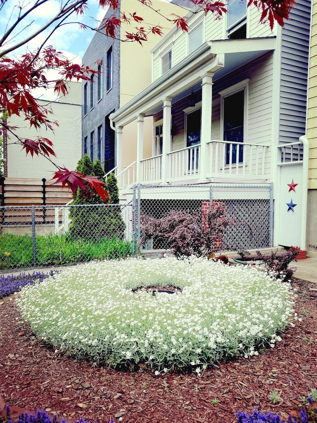 South Slope photo 1