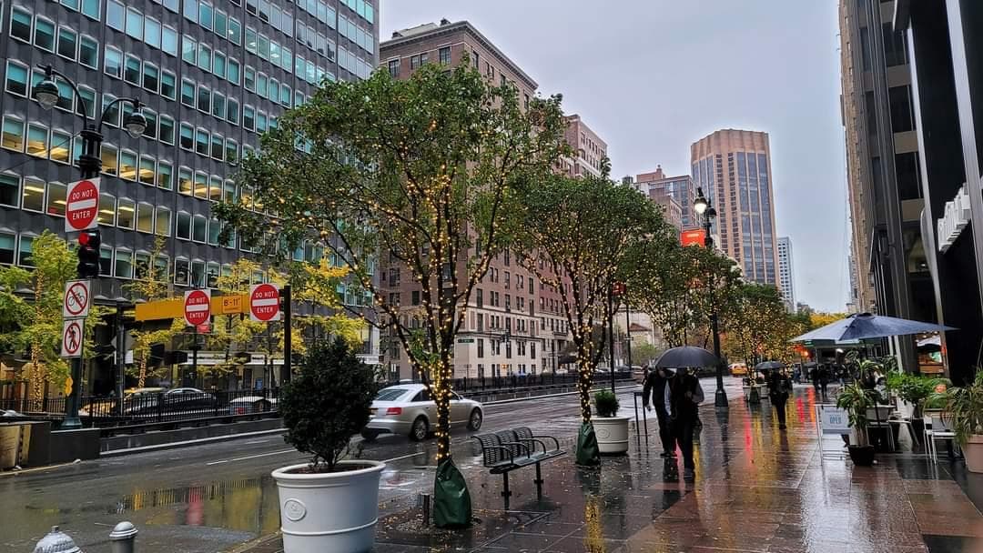 Park Avenue photo 2