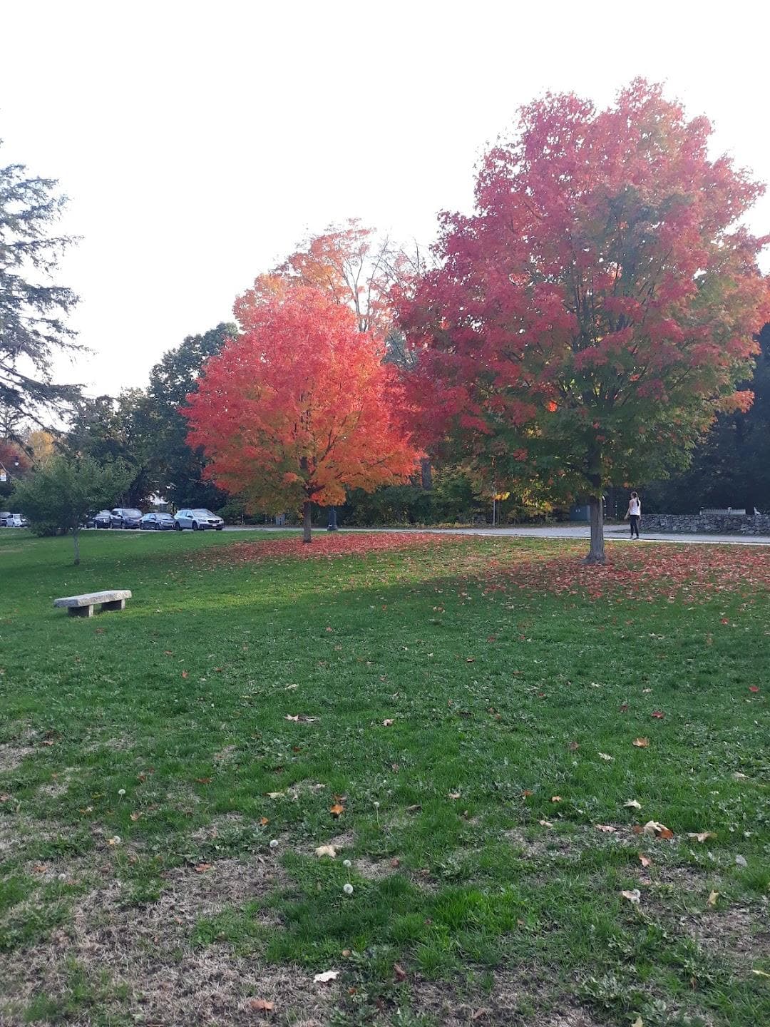 North Andover Town Common photo 6