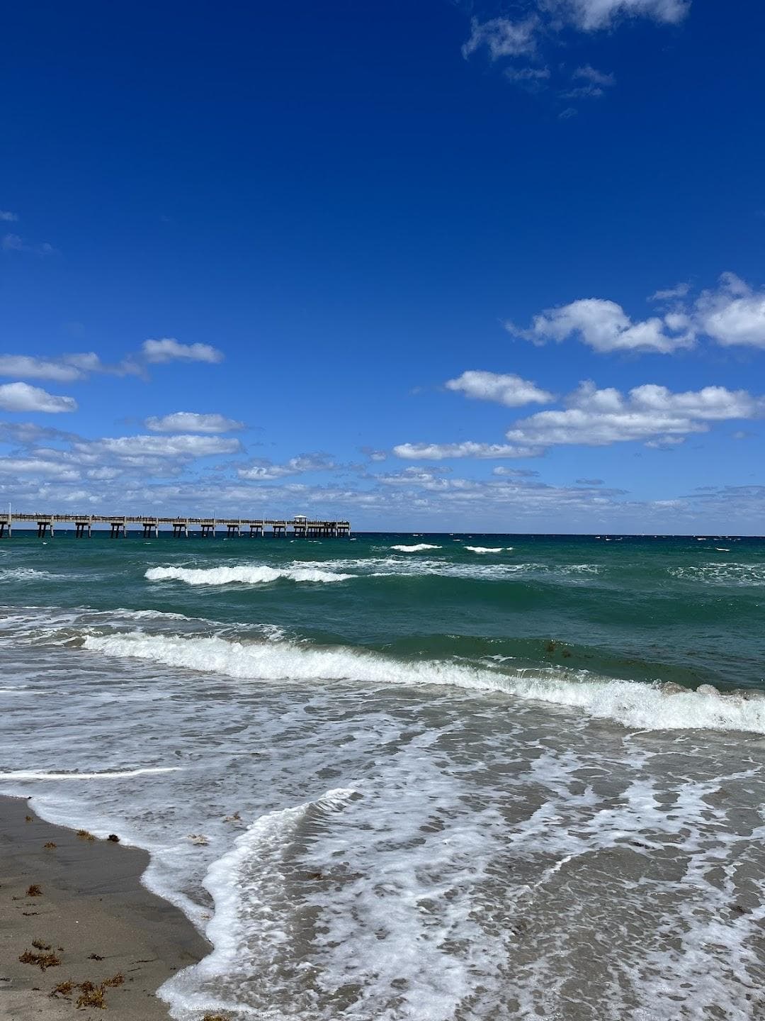 Dania Beach Pier photo 6