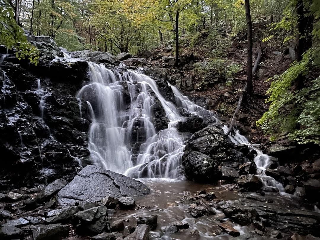 Ramapo Valley County Reservation photo 6