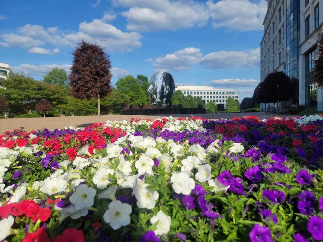 Whitehall Corporate Center photo 3