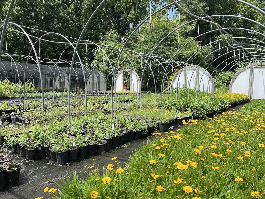 Citywide Nursery photo 2