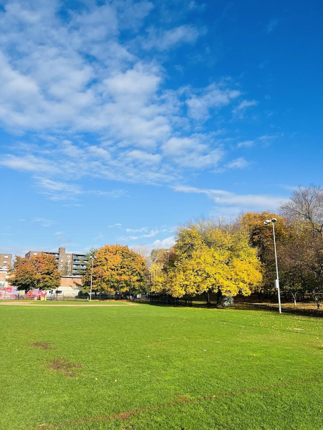 Saltonstall Park photo 5