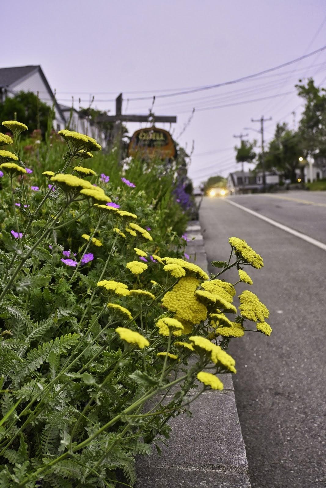 Odell Studios photo 1