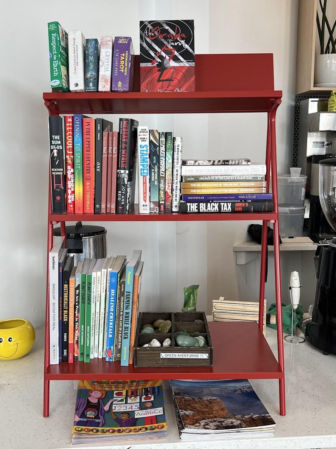 Plant and People photo 6