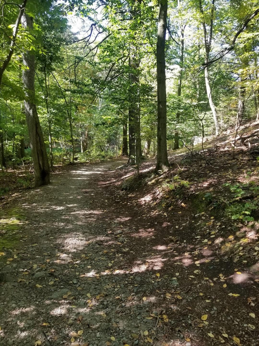 Allandale Woods photo 5