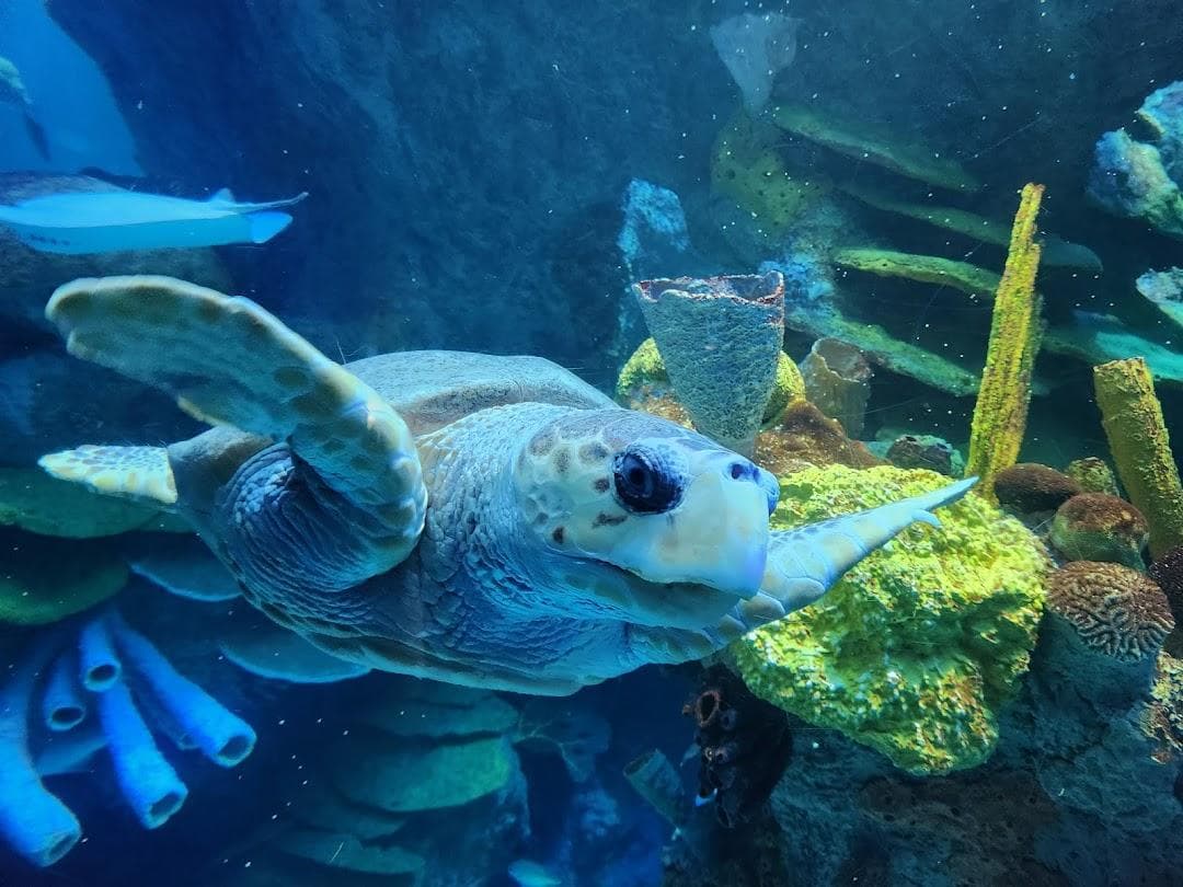 New England Aquarium photo 2