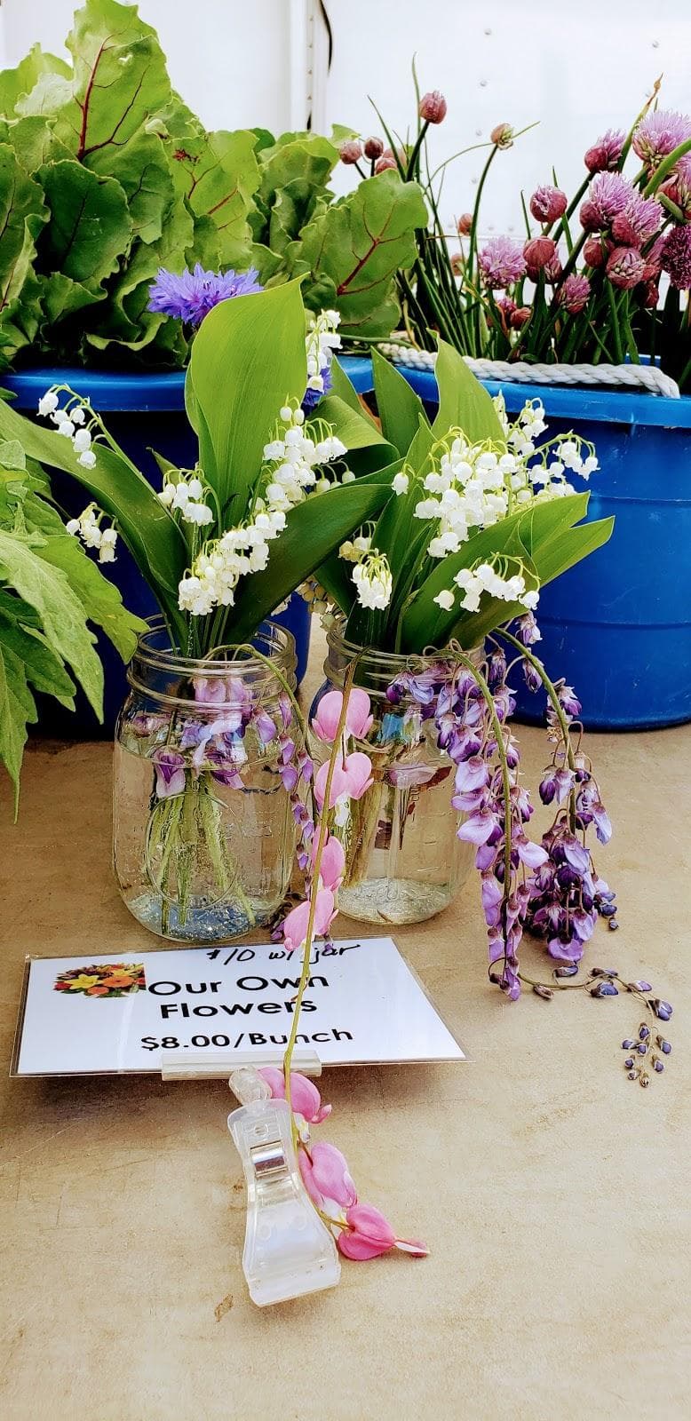 Davis Square Farmers Market photo 5