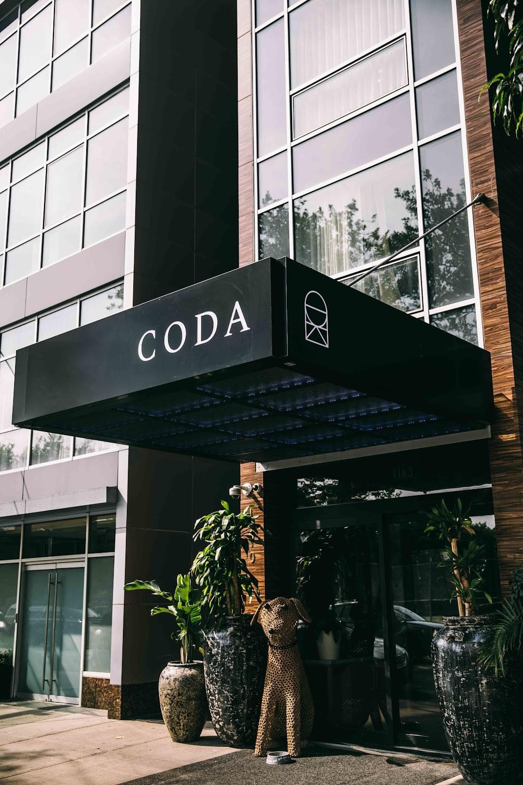 Coda Williamsburg