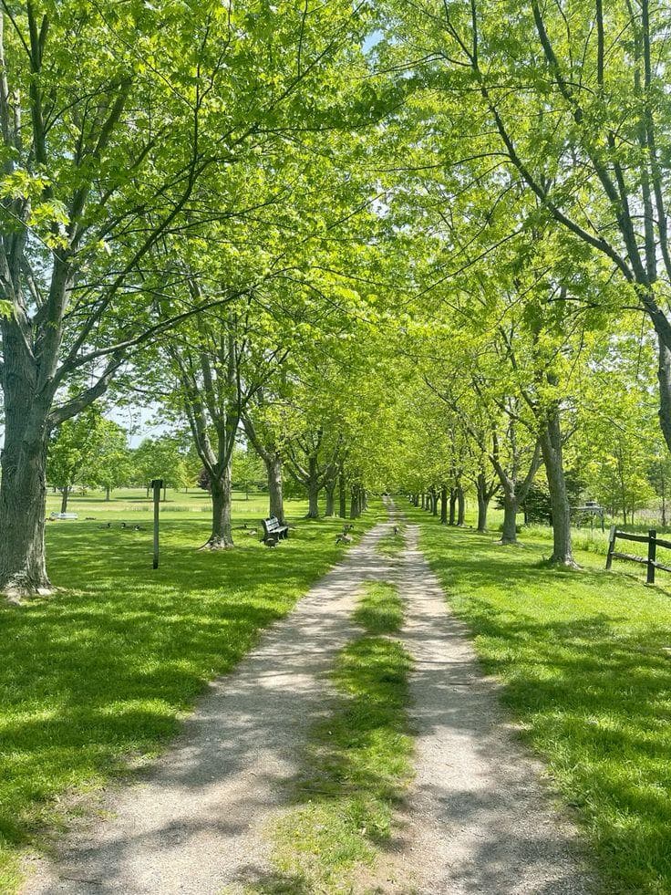 Altos Del Mar Park photo 1