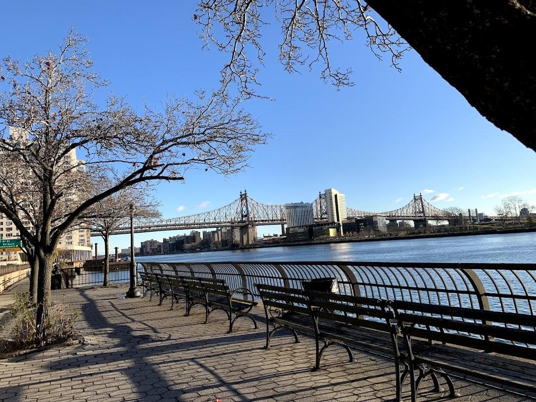 Peter Detmold Park photo 6