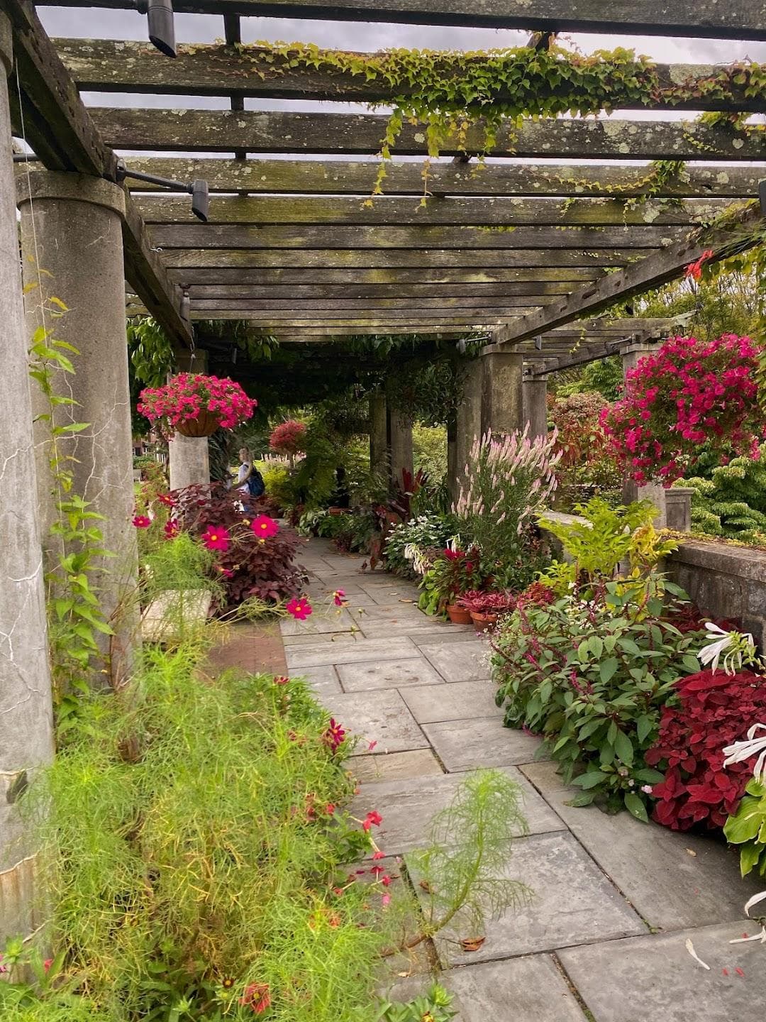 Wave Hill Public Garden & Cultural Center photo 6