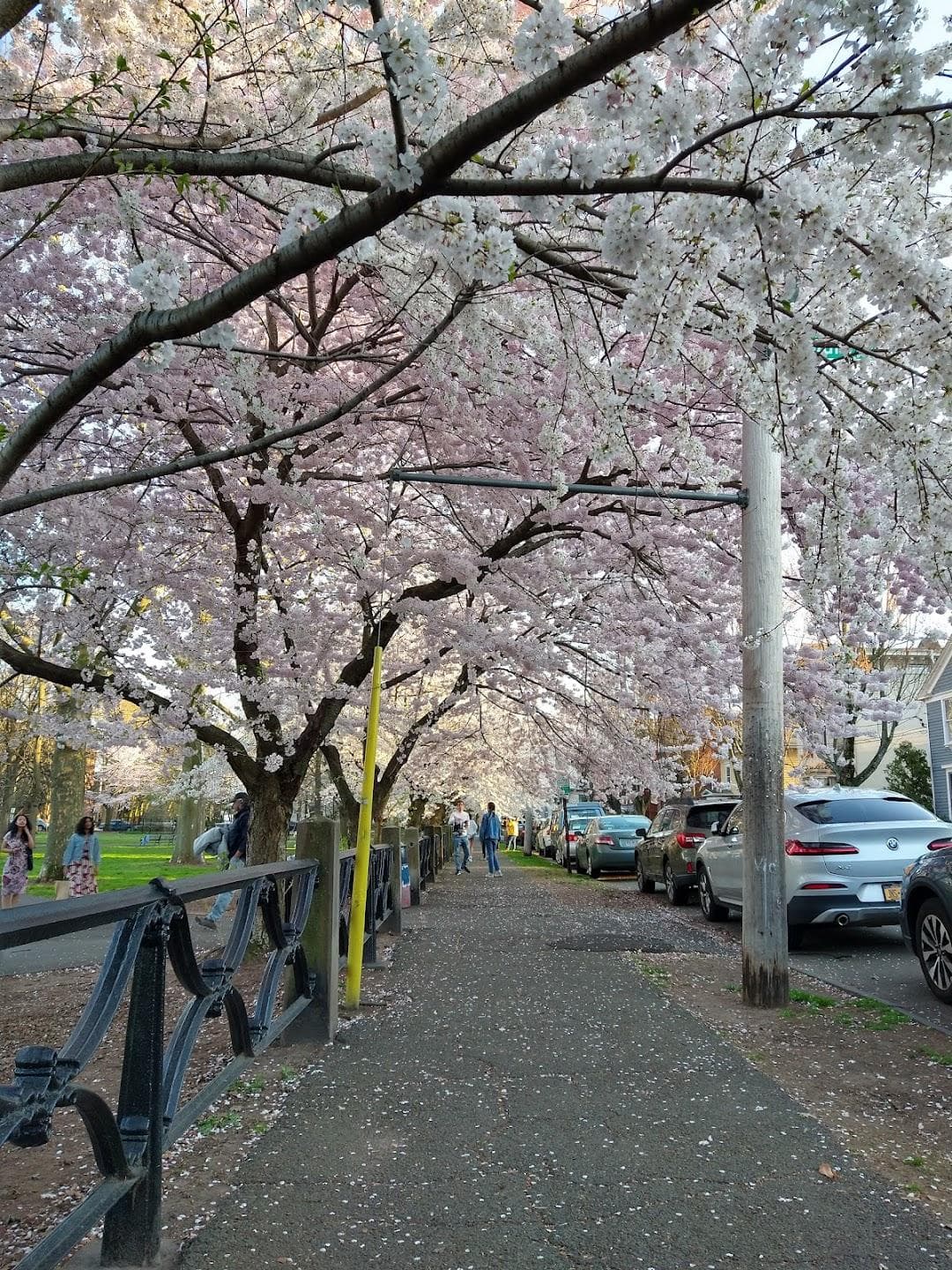 Wooster Square photo 4