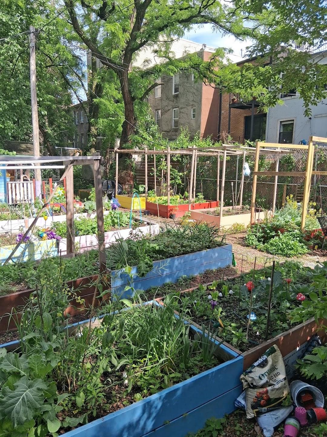 Seasons of Vision Garden photo 2