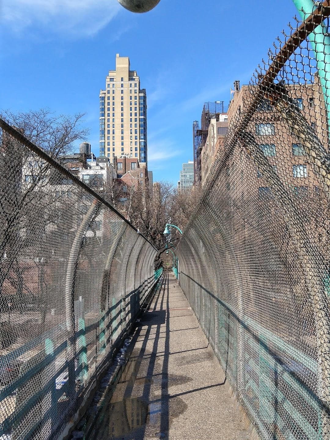 Peter Detmold Park photo 3